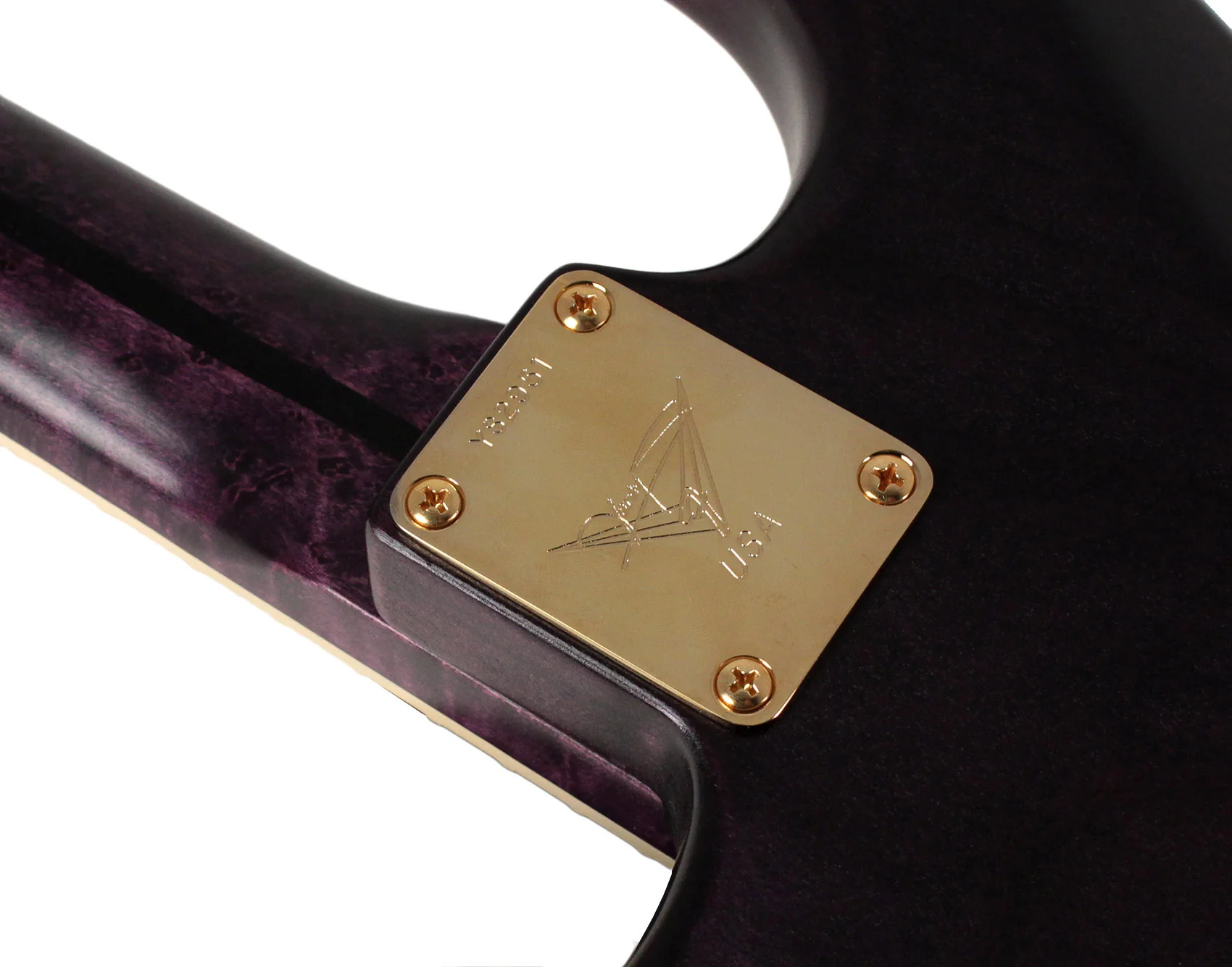 Fender Custom Shop Yuriy Shishkov Masterbuilt Prestige Leaves of Tears Stratocaster - Image 14