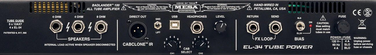 Mesa Boogie Recto Badlander 100 Head, Custom Wine Taurus - Image 4