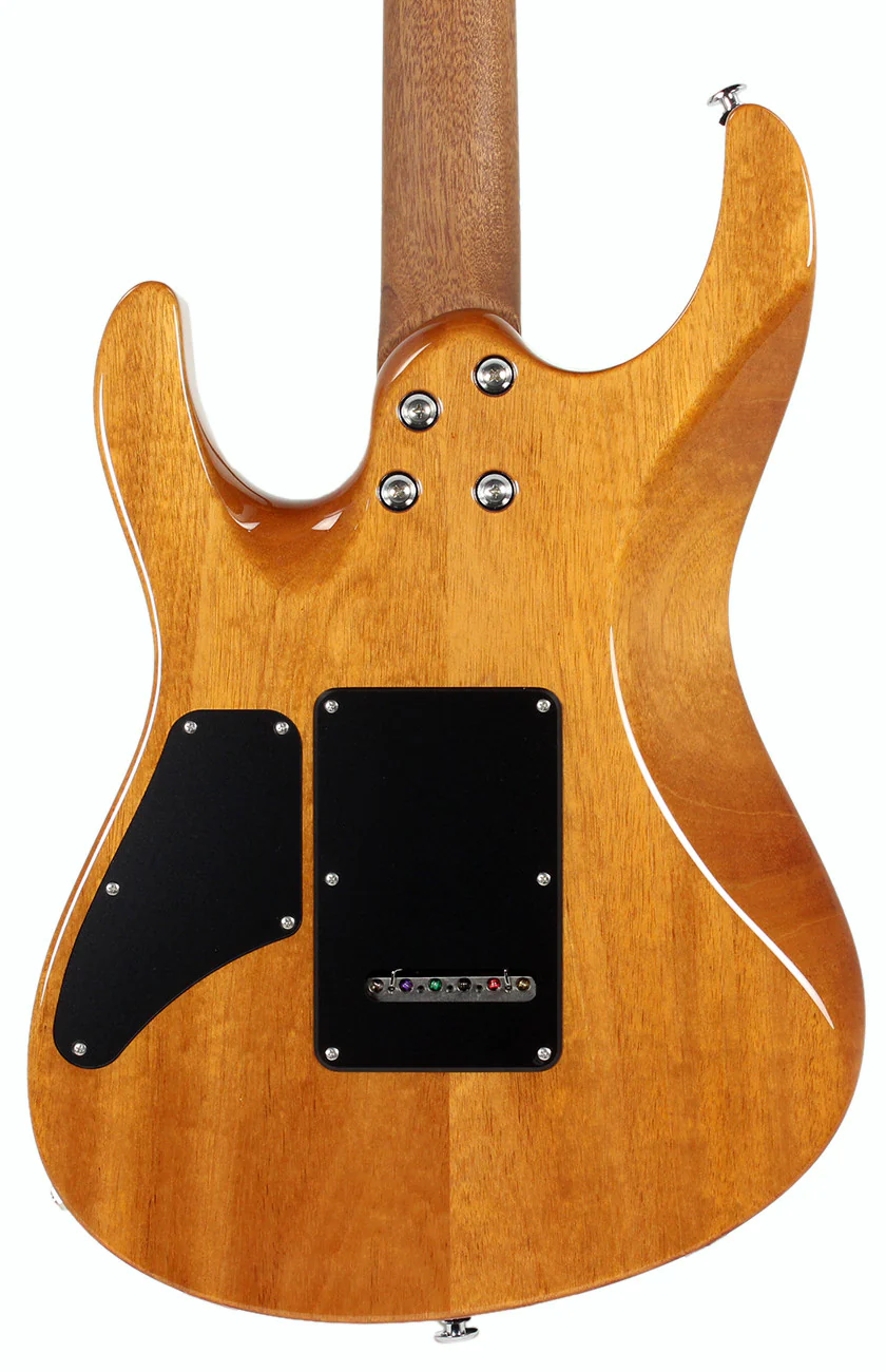 Suhr Modern Natural Buckeye Burl Maple, Mahogany Body - Image 4