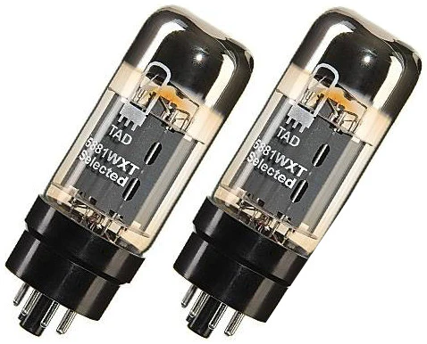 TAD Tube Amp Doctor 5881WXT, Matched Pair, Premium Selected - Image 2