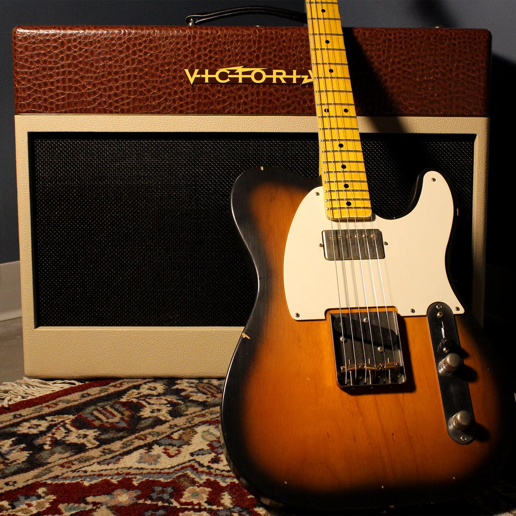 Victoria Amplifier Golden Melody 2x12 Combo, Half Power Switch - Image 7